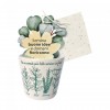 Cachepot "AROMATIC PLANTS" In Ceramic With Plantable Paper