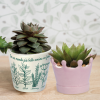 Cachepot "AROMATIC PLANTS" In Ceramic With Plantable Paper