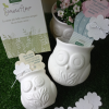 Owl Cachepot With Placeable Paper - White